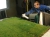 De l‘herbe, de la vrai. Mais en plus verte...