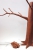 La couleur est préparée est le modelage de l‘arbre réalisé.
